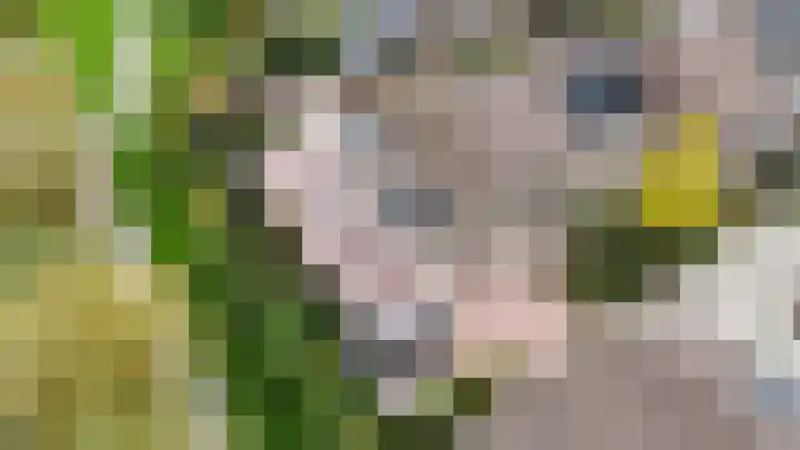 't Magesijn 76 Klundert thumbnail 58