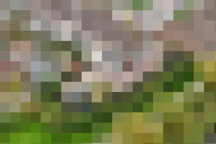 't Magesijn 76 Klundert thumbnail 59