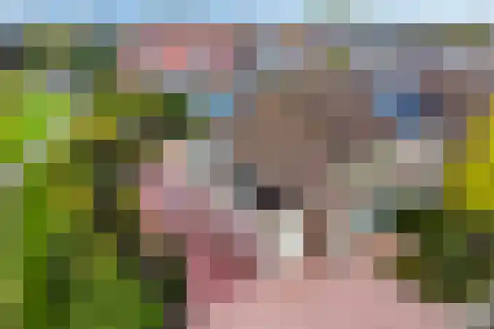 't Magesijn 76 Klundert thumbnail 63