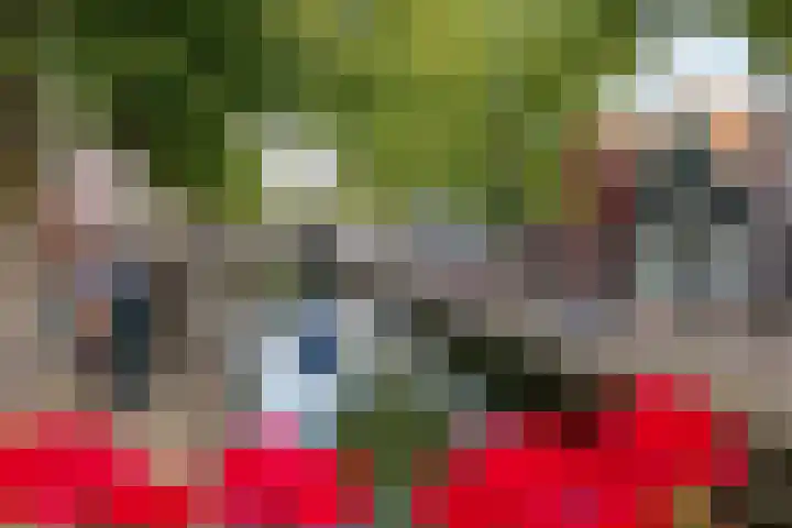't Marken 2 Edam thumbnail 24