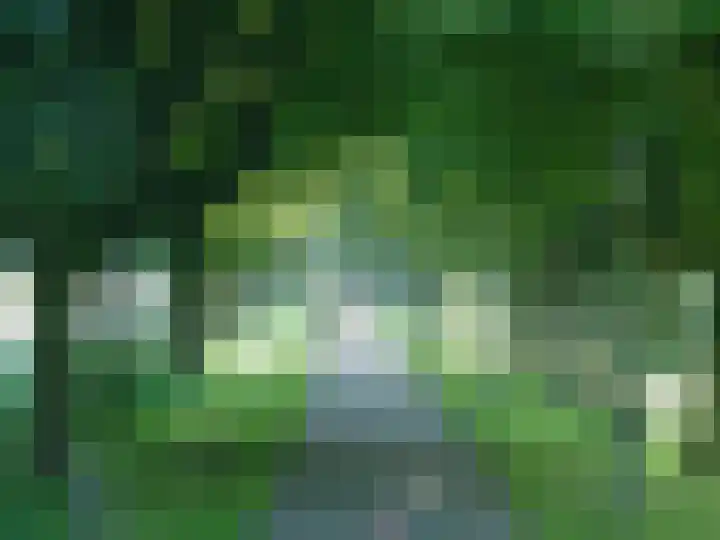 't Marken 2 Edam thumbnail 28