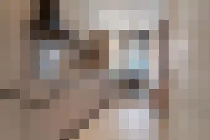 't Marken 2 Edam thumbnail 7