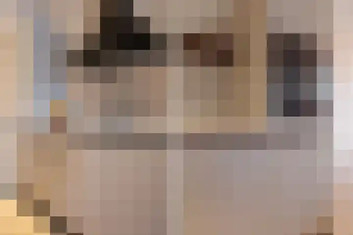 't Marken 2 Edam thumbnail 9