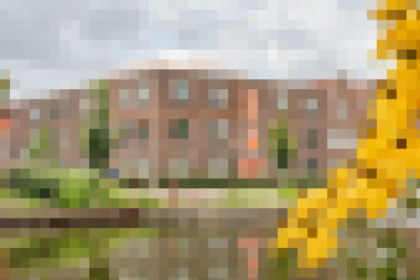 't Marken 56 Edam thumbnail 4