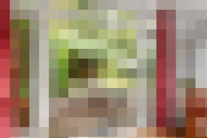 't Markvelt 19 Abcoude thumbnail 17