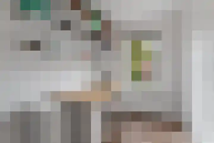 't Markvelt 19 Abcoude thumbnail 24