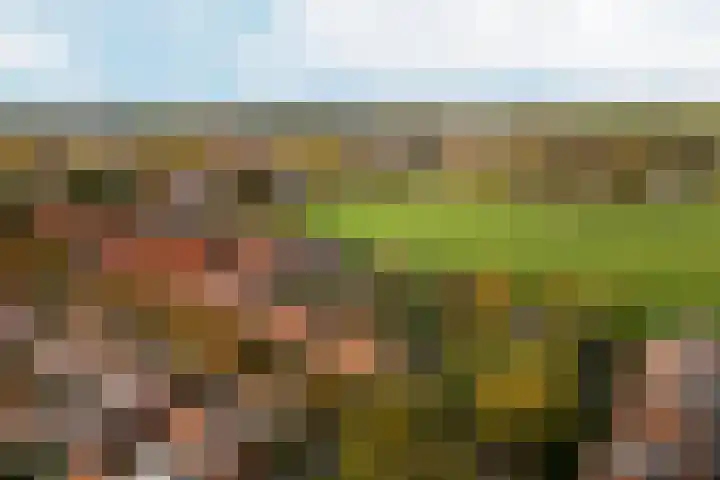 't Markvelt 19 Abcoude thumbnail 36