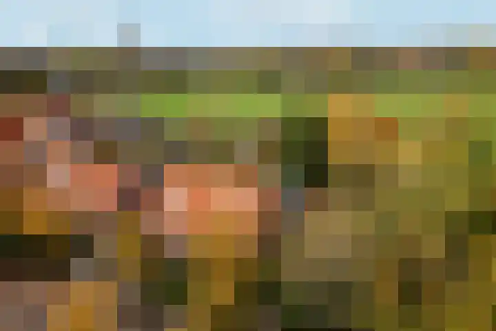 't Markvelt 19 Abcoude thumbnail 37