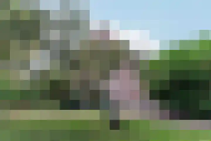 't Markvelt 19 Abcoude thumbnail 38