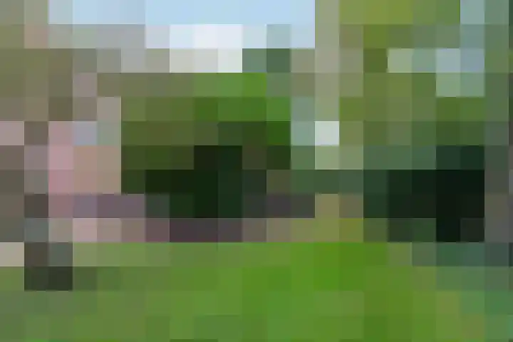 't Markvelt 19 Abcoude thumbnail 39
