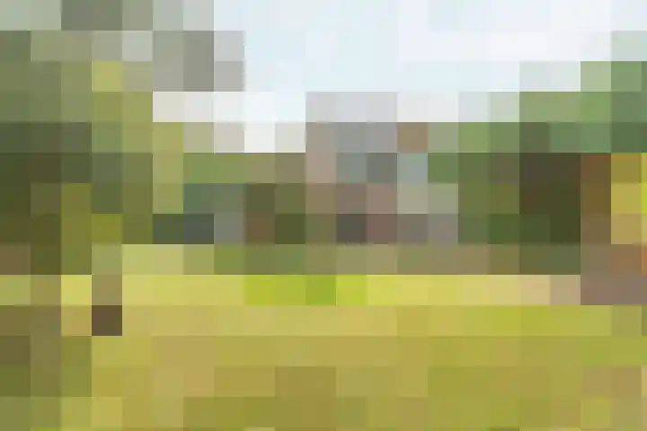 't Markvelt 19 Abcoude thumbnail 4