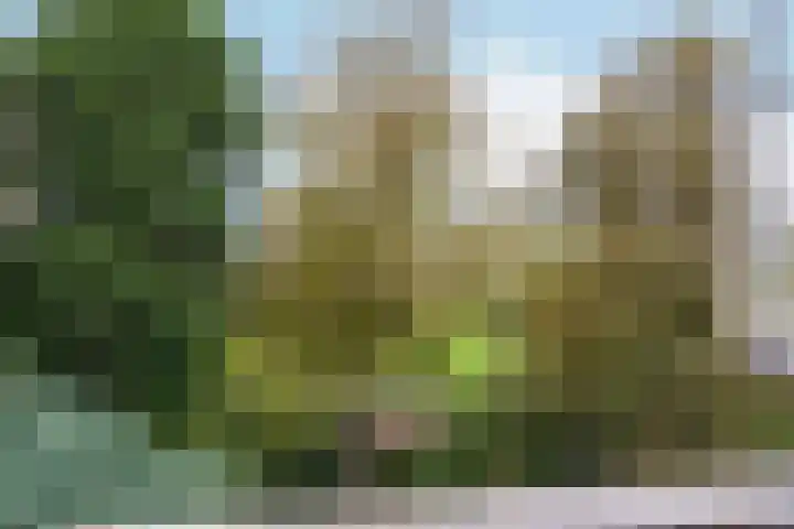 't Markvelt 19 Abcoude thumbnail 40