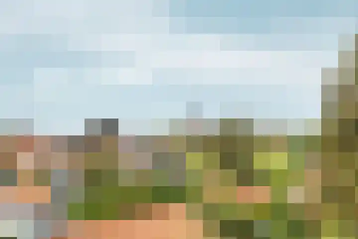 't Markvelt 19 Abcoude thumbnail 41