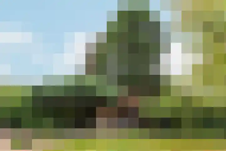 't Markvelt 19 Abcoude thumbnail 42