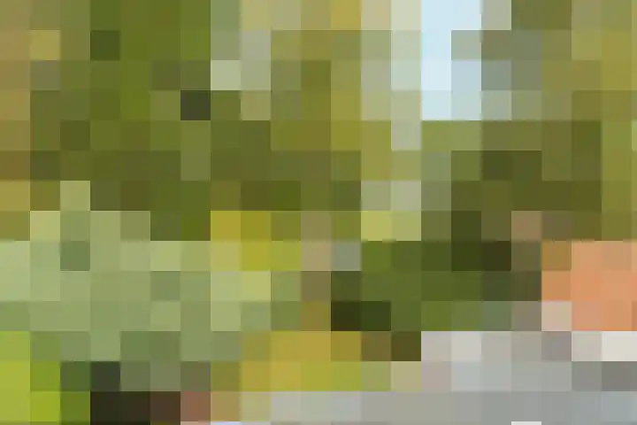 't Markvelt 19 Abcoude thumbnail 43