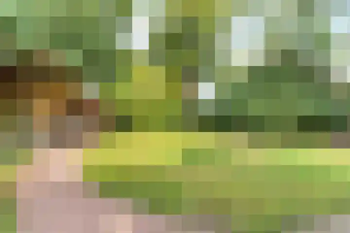 't Markvelt 19 Abcoude thumbnail 44