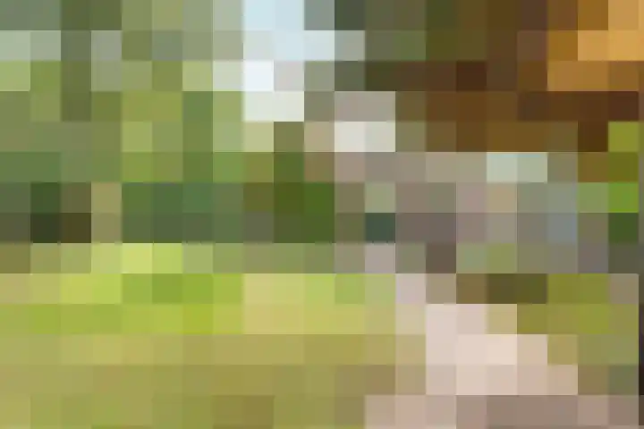 't Markvelt 19 Abcoude thumbnail 49