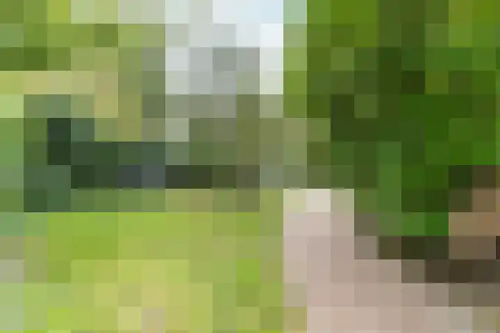 't Markvelt 19 Abcoude thumbnail 51