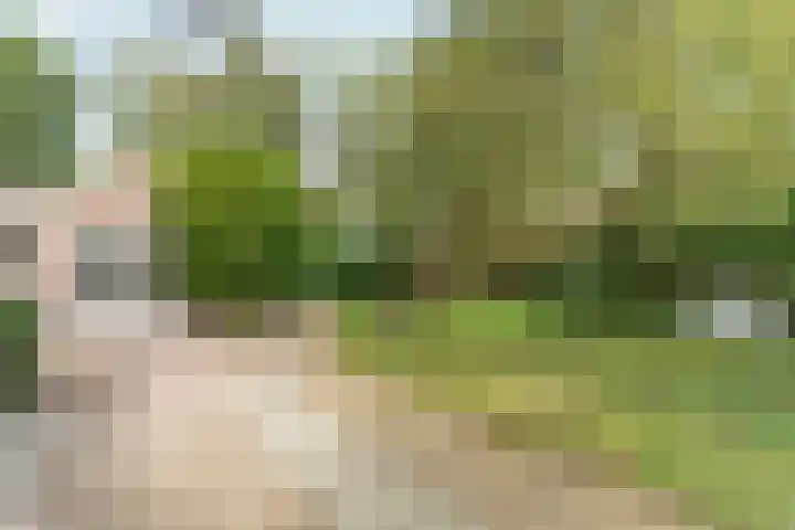 't Markvelt 19 Abcoude thumbnail 52