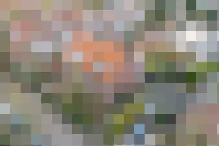 't Markvelt 4 Abcoude