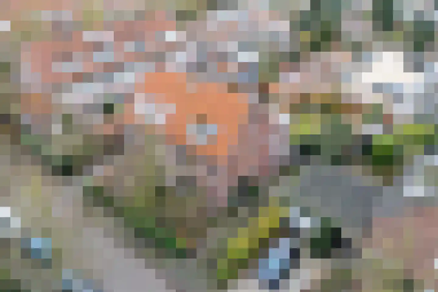 't Markvelt 4 Abcoude