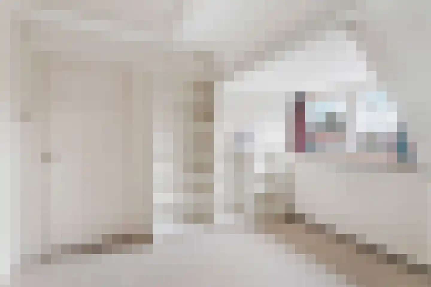 't Markvelt 4 Abcoude thumbnail 30