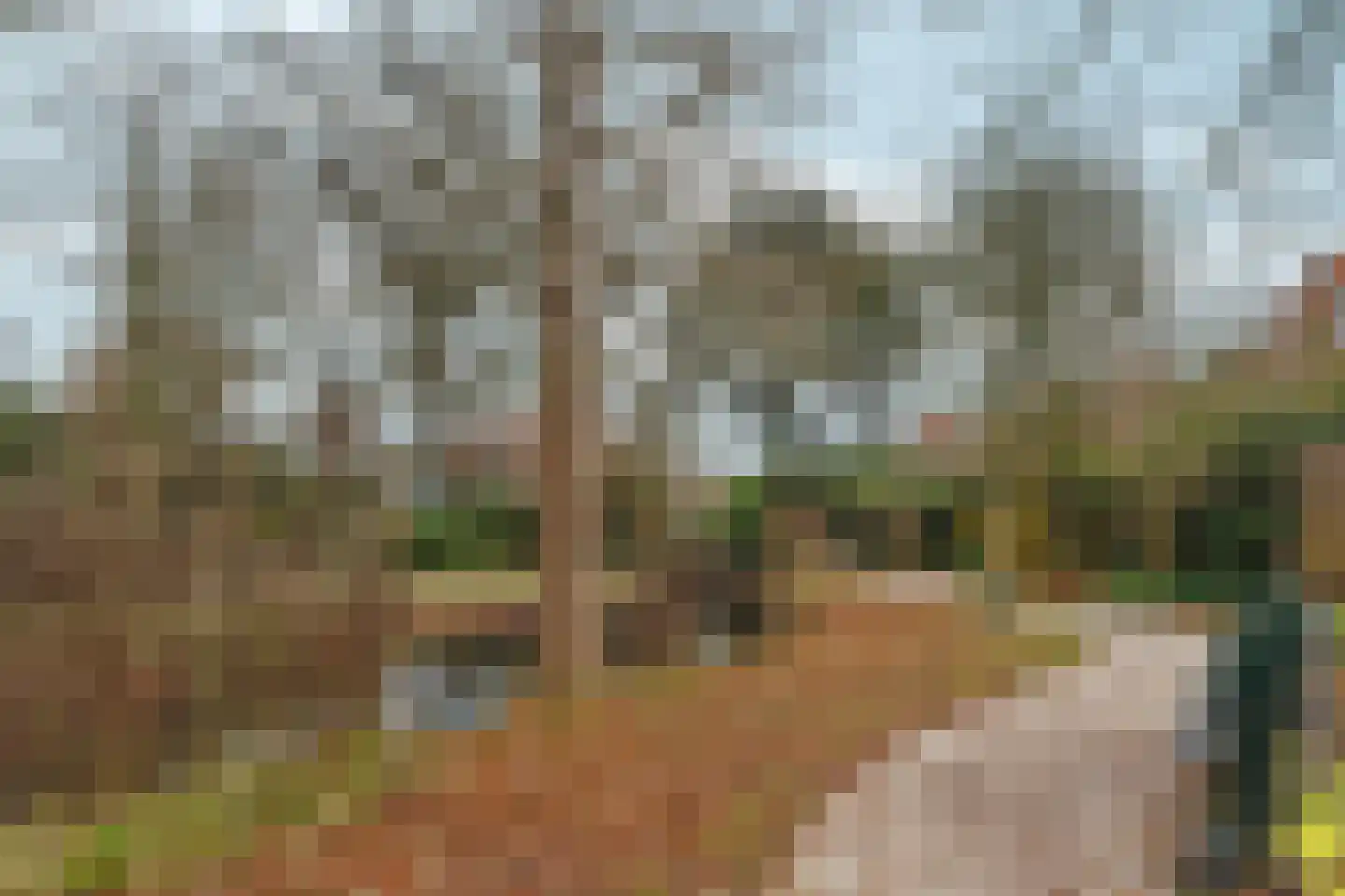't Markvelt 4 Abcoude thumbnail 40