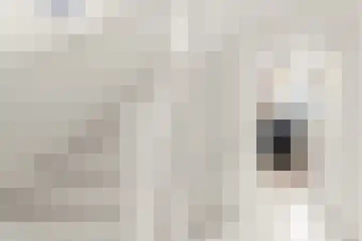't Markvelt 7 Abcoude thumbnail 21