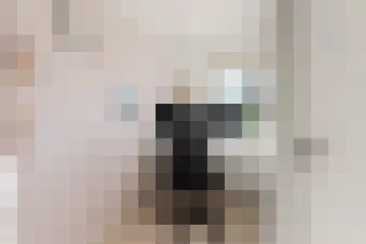 't Markvelt 7 Abcoude thumbnail 22