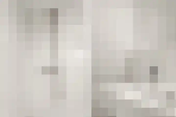 't Markvelt 7 Abcoude thumbnail 29