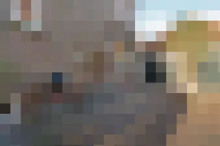 't Markvelt 7 Abcoude thumbnail 41