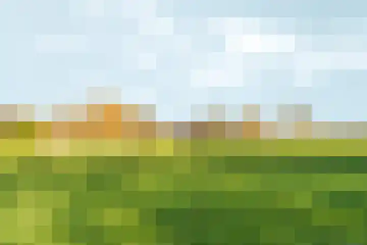 't Markvelt 7 Abcoude thumbnail 44
