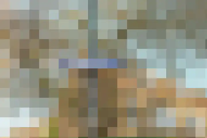 't Markvelt 7 Abcoude thumbnail 46