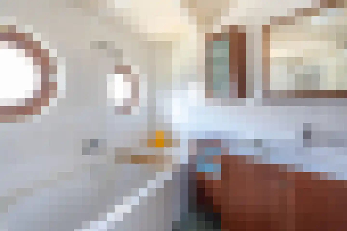 't Meertje 10 Nijmegen thumbnail 31
