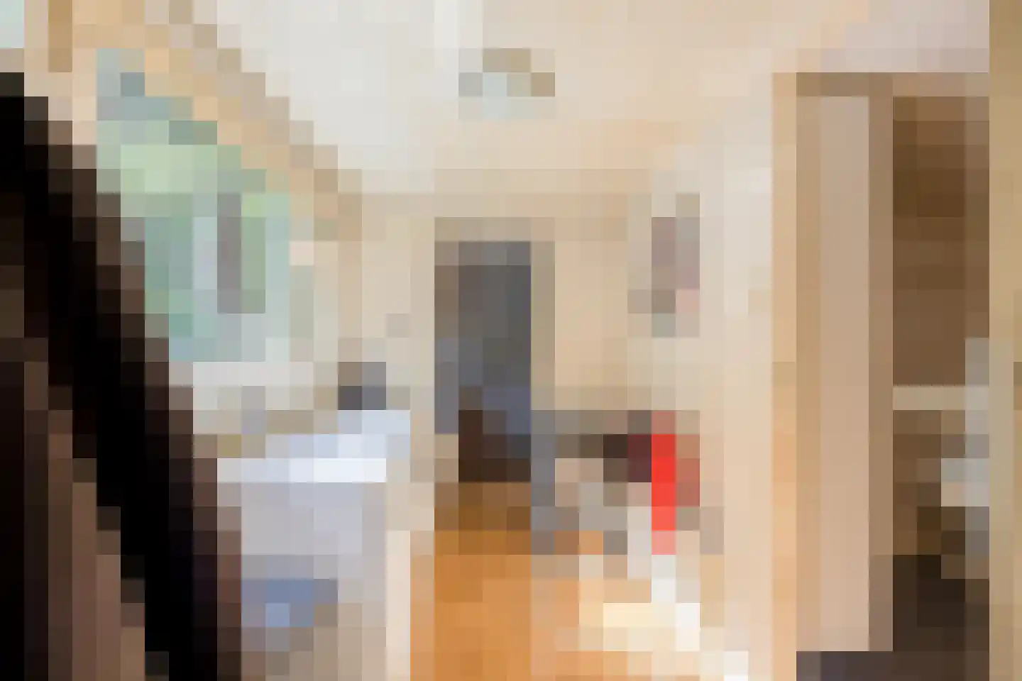 't Meertje 5 Nijmegen thumbnail 10