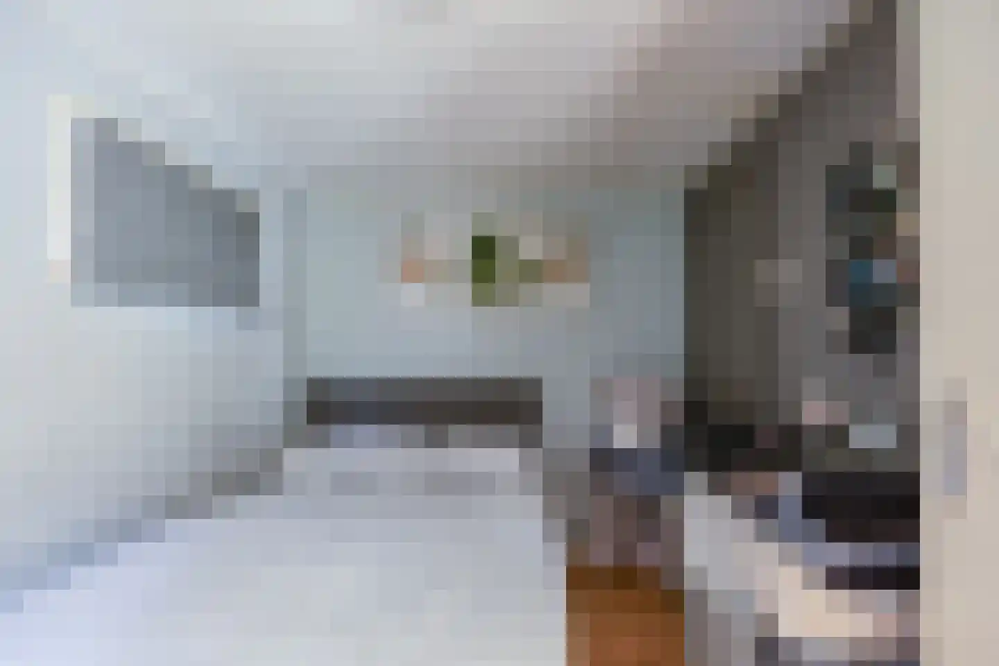 't Meertje 5 Nijmegen thumbnail 11