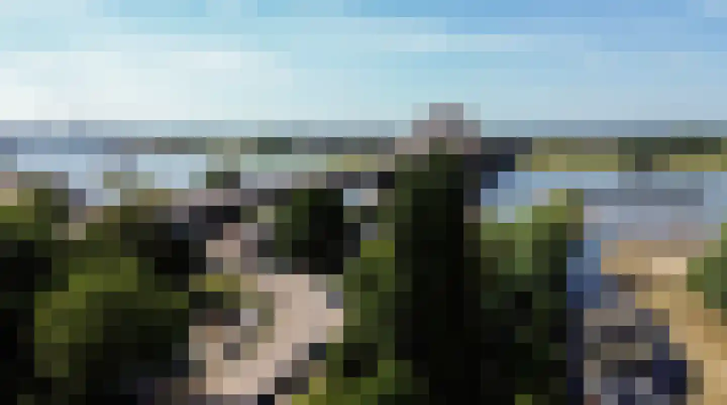 't Meertje 5 Nijmegen thumbnail 25