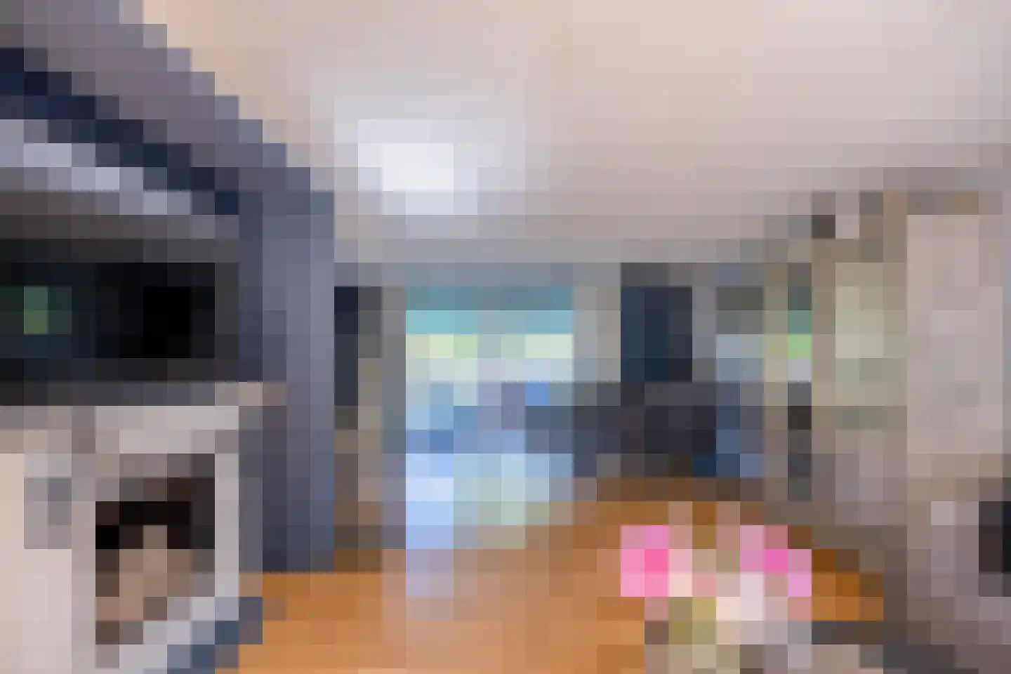't Meertje 5 Nijmegen thumbnail 4