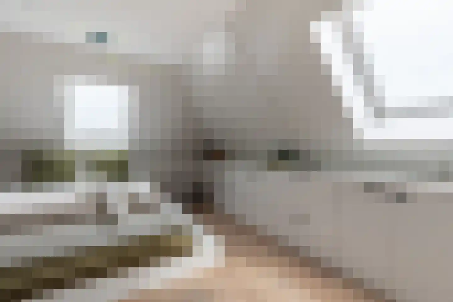 't Meijmerige Land 15 Heerhugowaard thumbnail 32