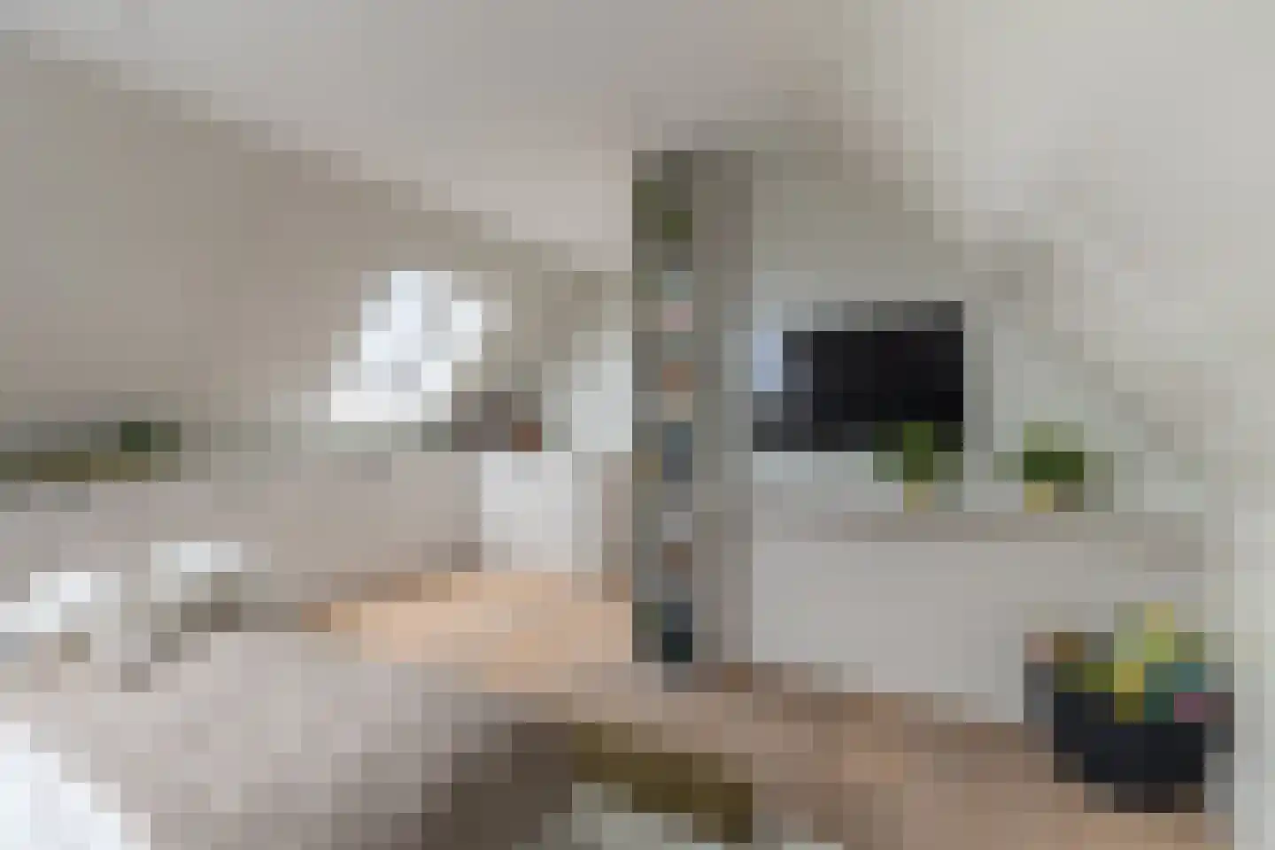 't Meijmerige Land 15 Heerhugowaard thumbnail 33