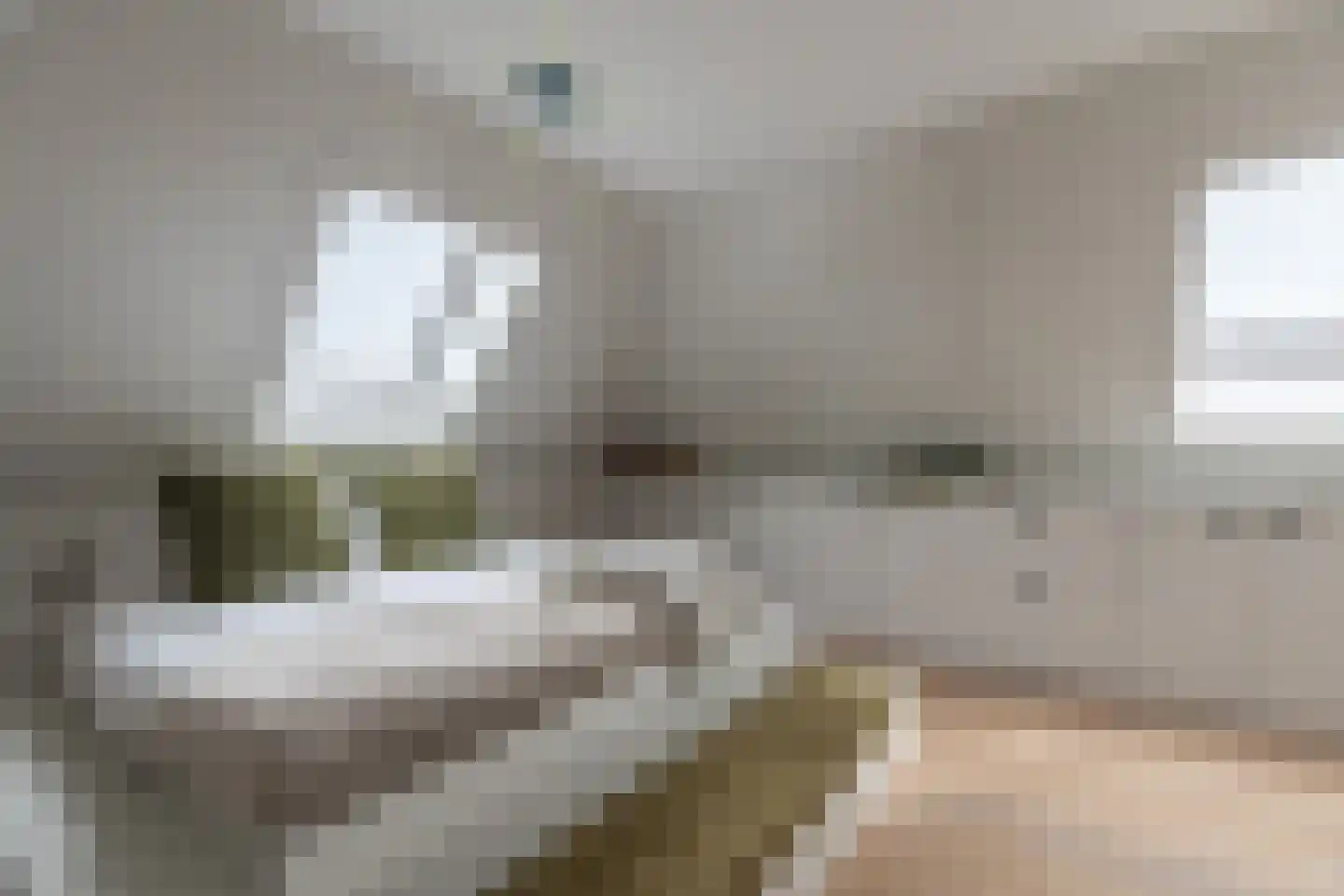 't Meijmerige Land 15 Heerhugowaard thumbnail 34