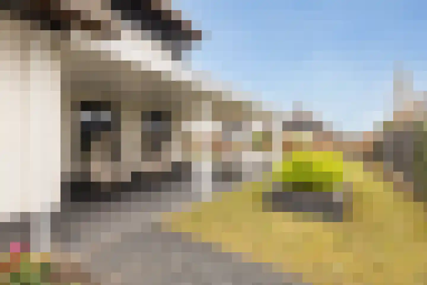 't Meijmerige Land 15 Heerhugowaard thumbnail 45