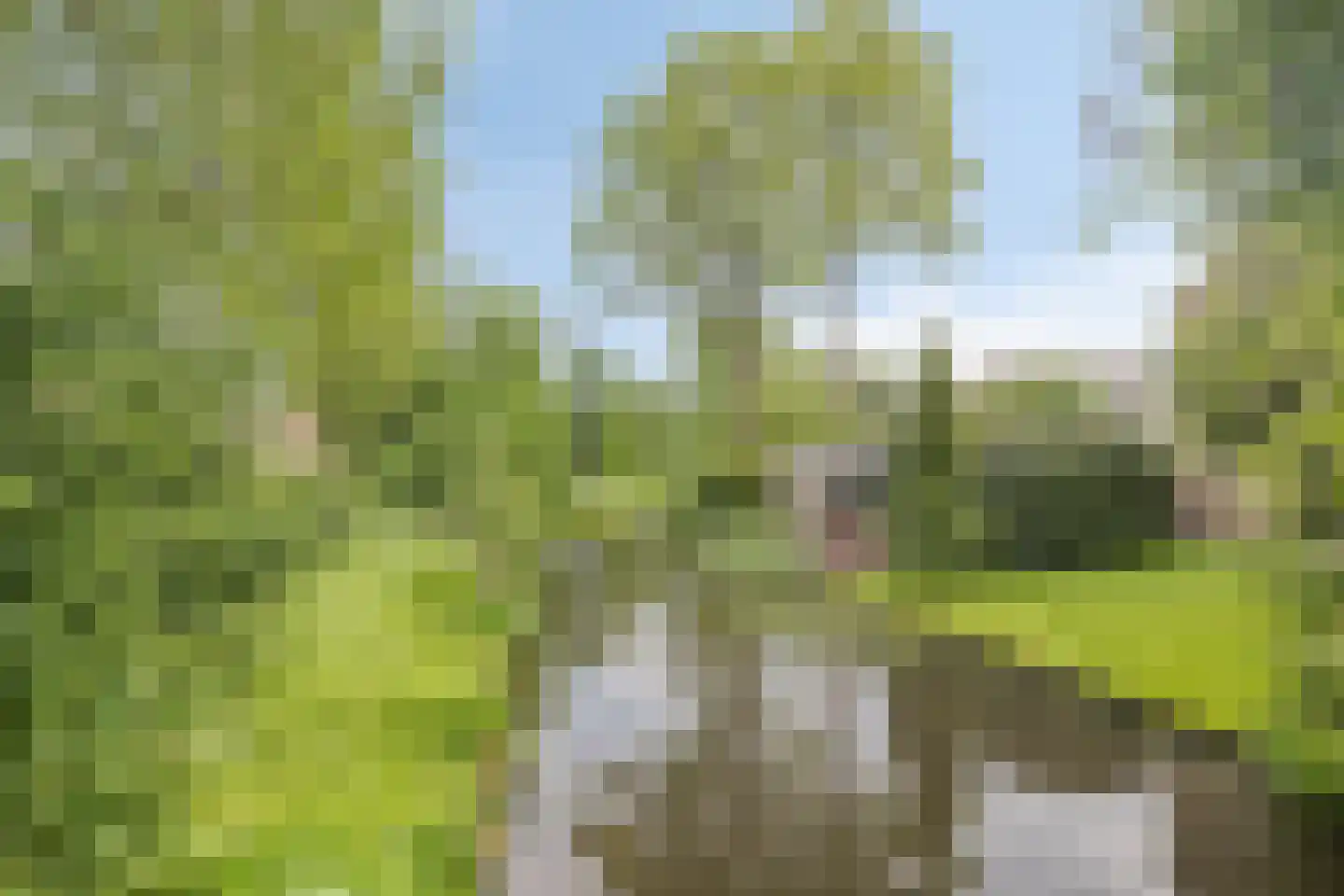 't Melkhuis 42 Veenendaal thumbnail 43