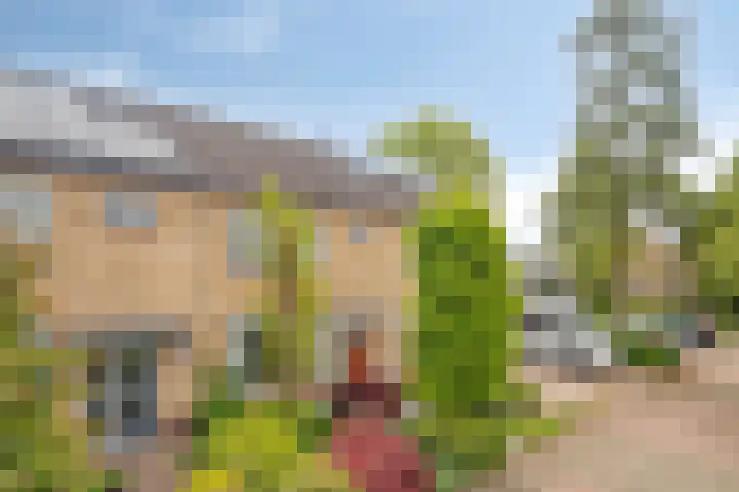 't Melkhuis 42 Veenendaal thumbnail 46