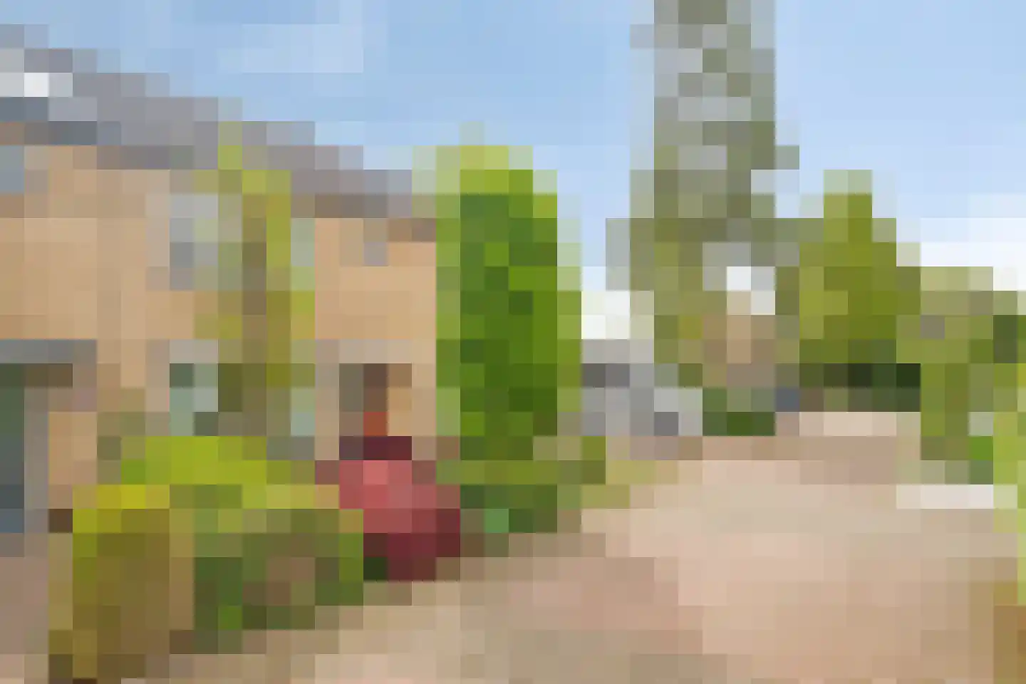 't Melkhuis 42 Veenendaal thumbnail 6