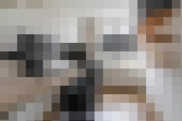't Melkhuis 9 Veenendaal thumbnail 19