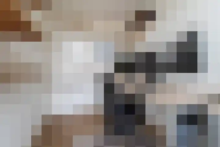 't Melkhuis 9 Veenendaal thumbnail 20