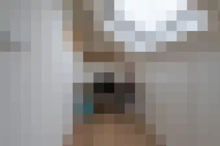 't Melkhuis 9 Veenendaal thumbnail 28