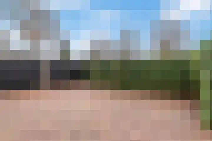 't Melkhuis 9 Veenendaal thumbnail 30