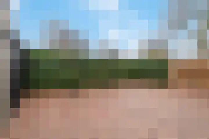 't Melkhuis 9 Veenendaal thumbnail 31